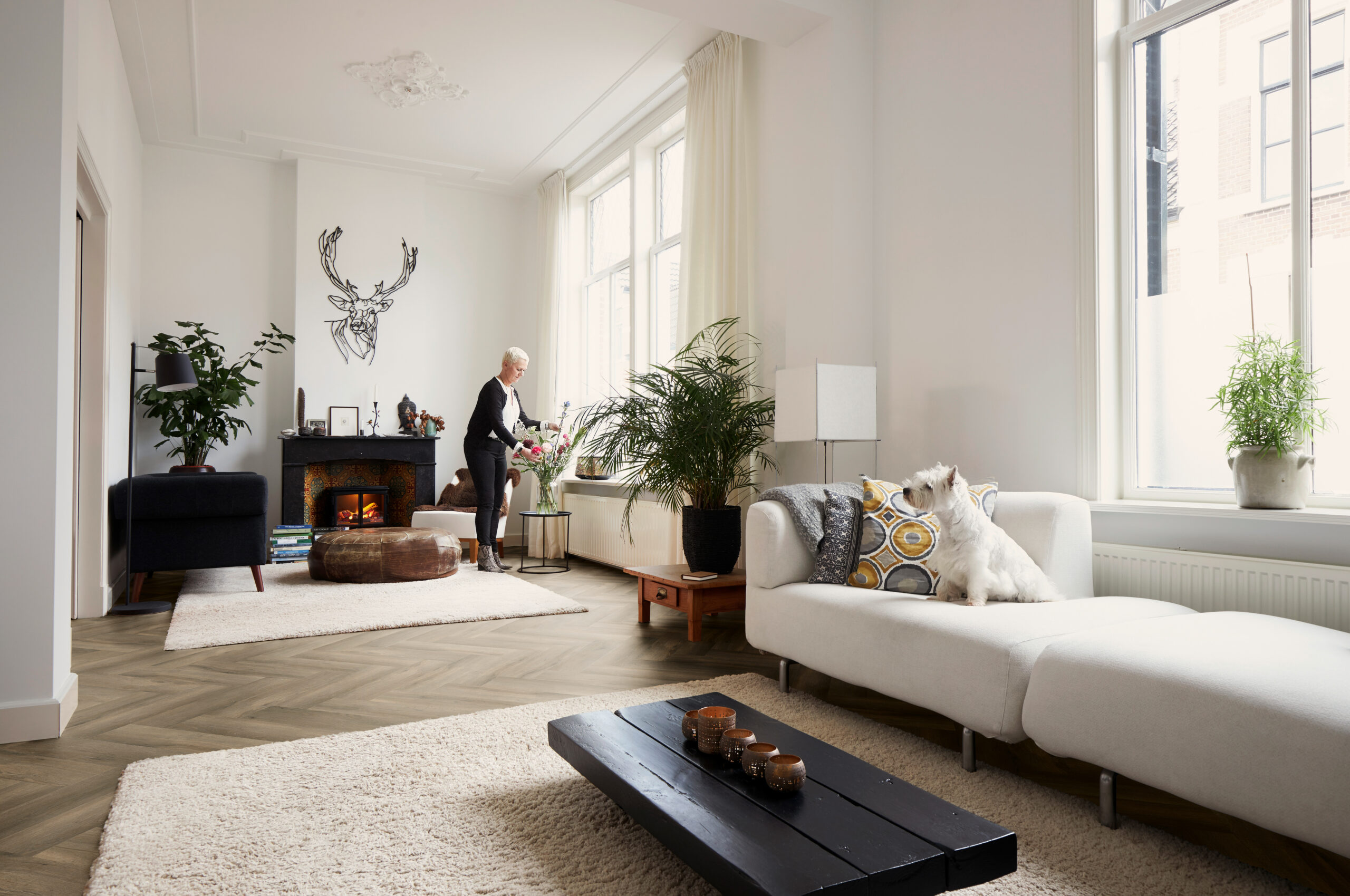 LV6810-Ambience-Classic-Corporate-Vivafloors